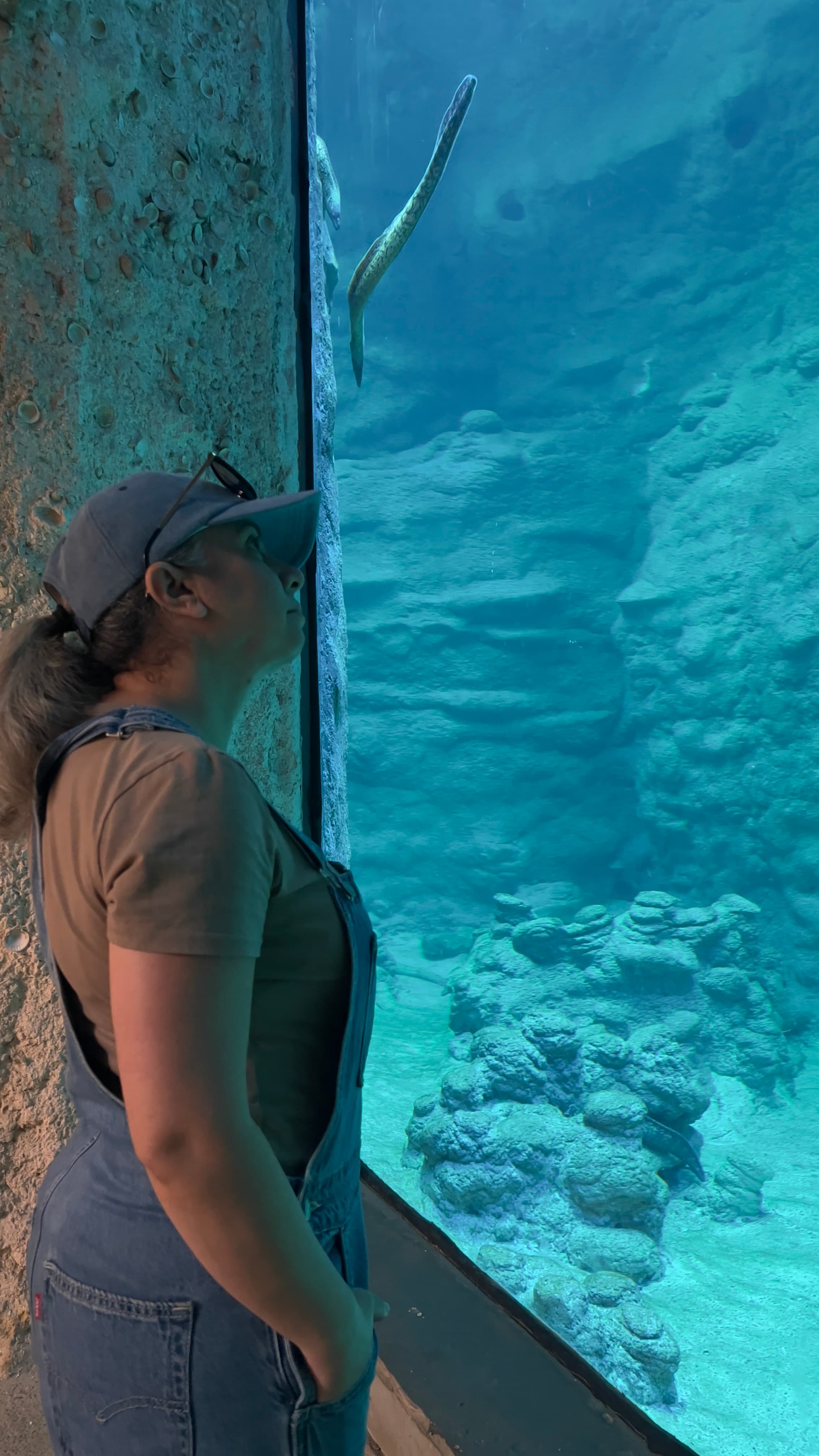 Standing in front of the underground tank. The eel did not care that I was watching.
